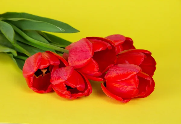 Bukett Röda tulpaner på gul bakgrund — Stockfoto