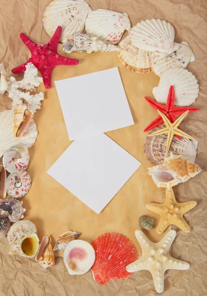 Marco de estrellas de mar y conchas con dos tarjetas en blanco sobre papel viejo —  Fotos de Stock