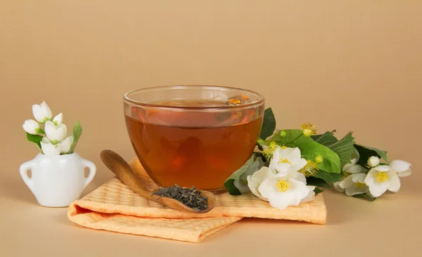 Cup, dry tea in a spoon a jasmine a napkin and vase on the beige — Stock Photo, Image
