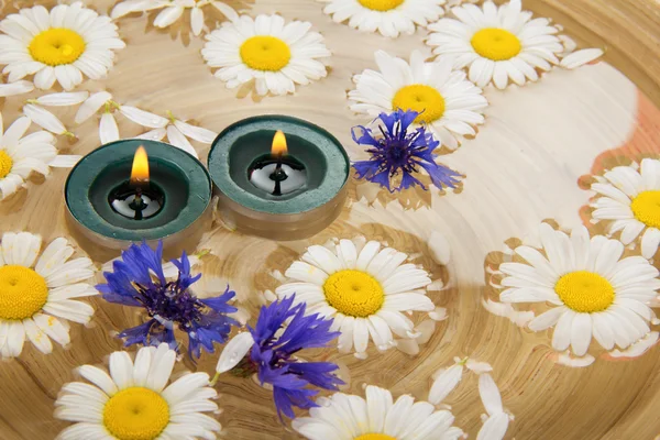 Cabezas de flores, pequeños guijarros y velas encendidas en un plato grande con agua —  Fotos de Stock