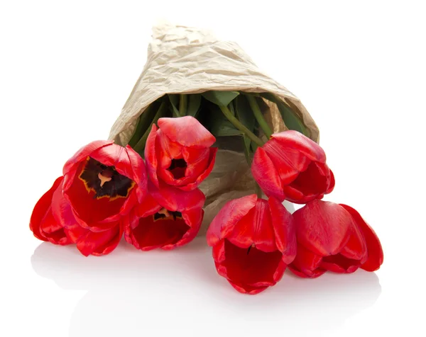 Bukiet czerwonych tulipanów w papier opakowania, na białym tle — Zdjęcie stockowe