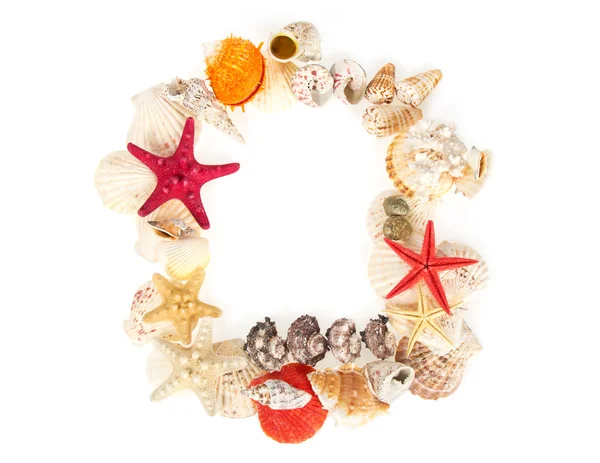 Frame from sea cockleshells and the stars, isolated on white — Stock Photo, Image