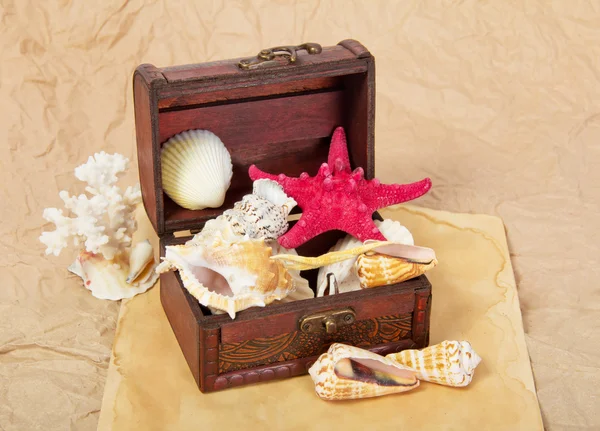 Coquilles de mer, coquillages, étoiles de mer dans un coffre sur vieux papier — Photo