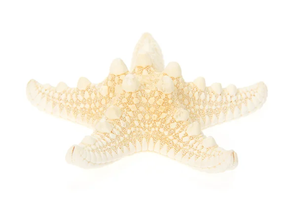 Yellow starfish close up isolated on white — Stock Photo, Image