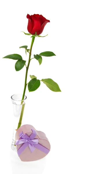 Rosa vermelha em vaso com caixa rosa na forma de coração isolado em branco — Fotografia de Stock