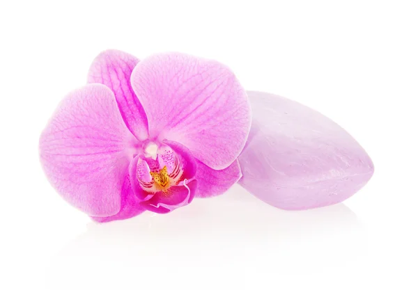 Flower of an orchid and the soap — Stock Photo, Image