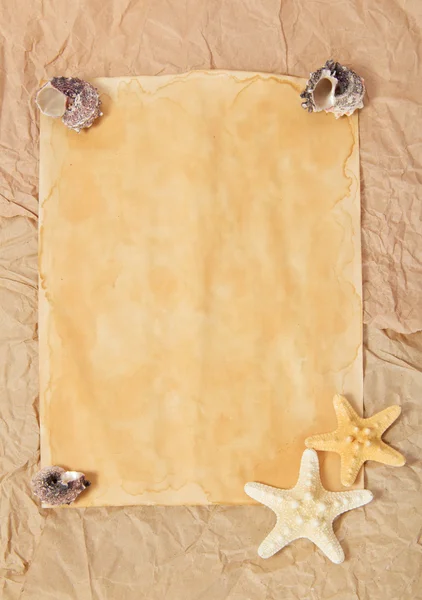 Old paper, starfishes and cockleshells — Stock Photo, Image