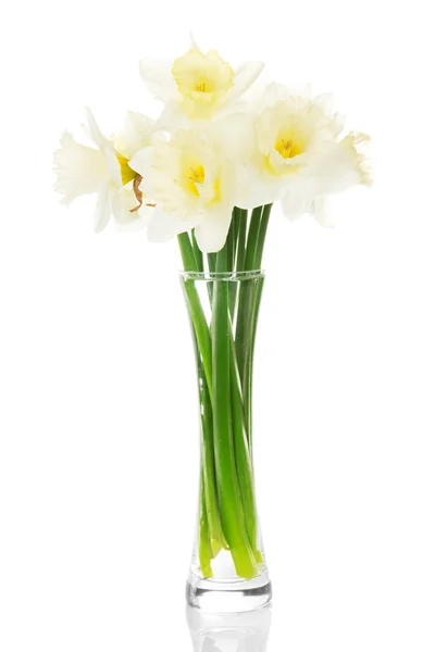 Bouquet of narcissuses in a vase, isolated on white — Stock Photo, Image