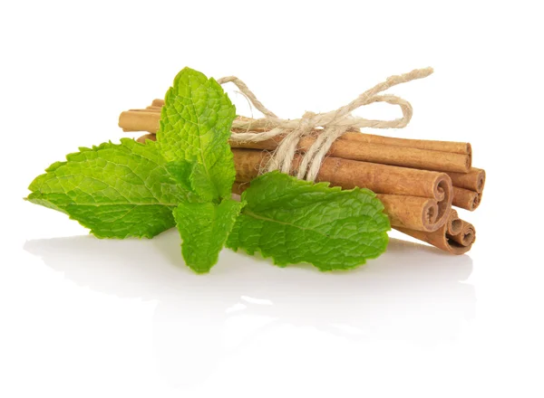 Spearmint with cinnamon isolated on white — Stock Photo, Image