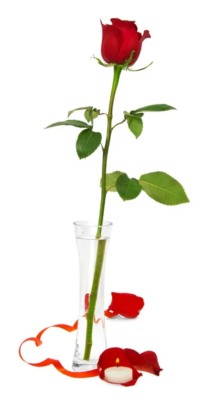 Rosa roja en jarrón y dos pétalos, vela blanca con cinta roja aislada en blanco —  Fotos de Stock