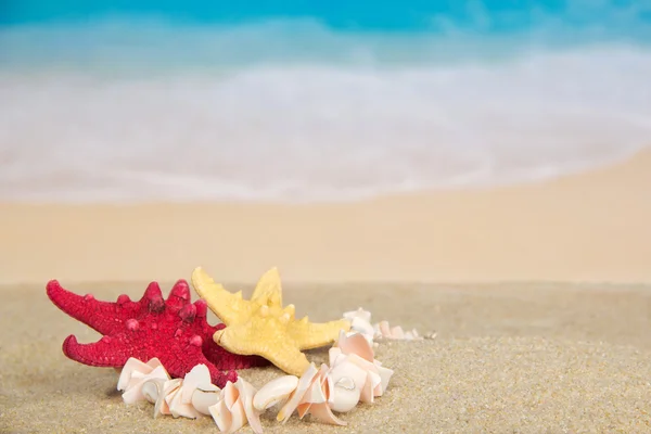 Necklace and starfishes on the sea coast — Stock Photo, Image