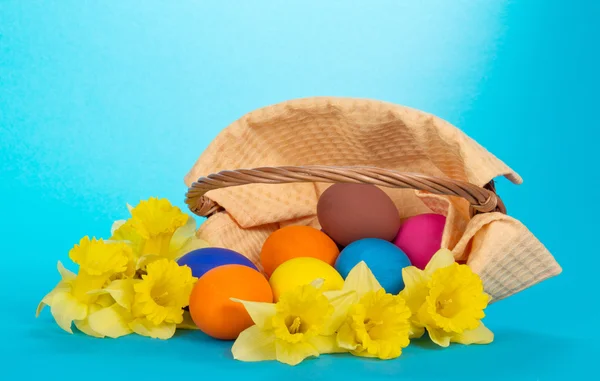 Yellow narcissuses and the eggs which have dropped out of a basket, on the blue — Stock Photo, Image