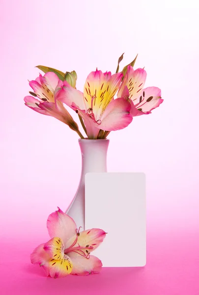 Розовая альстромерия в вазе и пустая открытка на розовом — стоковое фото