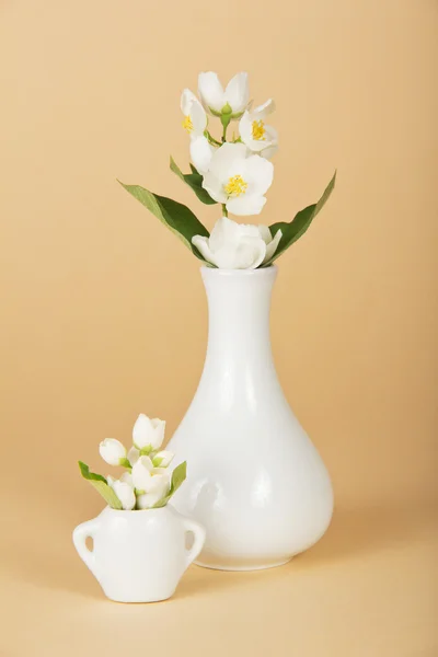 Vaso grande e pequeno com uma flor de jasmim — Fotografia de Stock