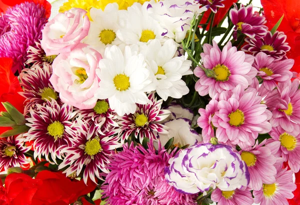 Leuchtende Blüten. Hintergrund — Stockfoto