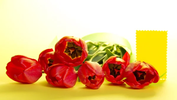 Букет тюльпанов с зеленой лентой и карточка для буквы на желтом фоне — стоковое фото