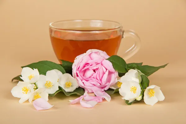 Cup of tea, branches of a jasmine and a rose — Stock Photo, Image