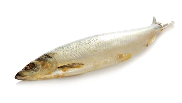 Grande peixe salgado isolado em branco — Fotografia de Stock