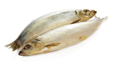 beyaz izole iki tane ringa balığı