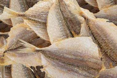 tuzlu kuru balık üzerinde beyaz izole bira için