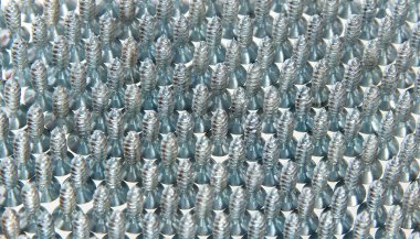 güzel koymak üzerinde beyaz izole vidası