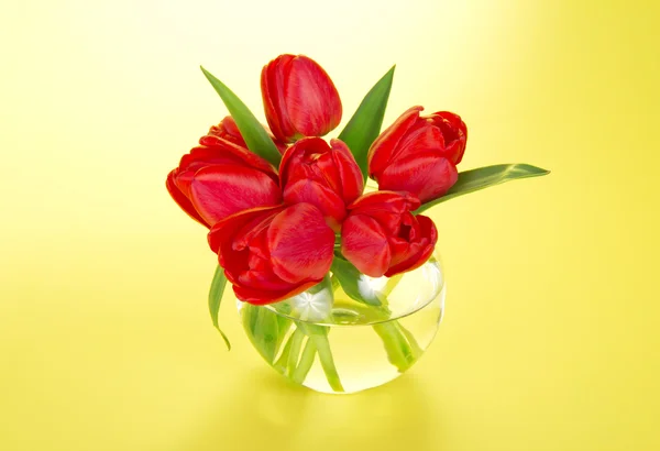 Bouquet di tulipani fini in un vaso rotondo trasparente, sul giallo — Foto Stock