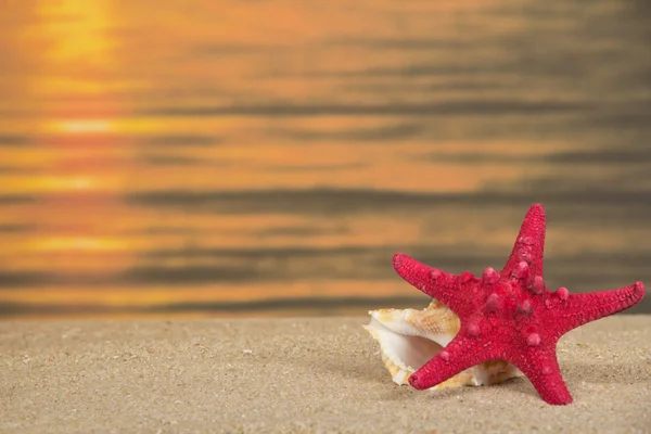 Starfish e afundar na areia contra um declínio — Fotografia de Stock