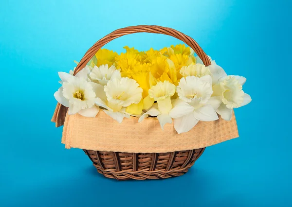 Basket with spring flowers and a napkin on a blue background — Stock Photo, Image