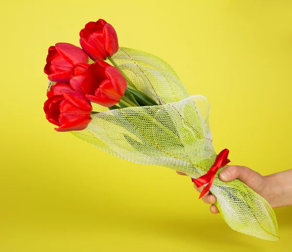 Die weibliche Hand hält einen Strauß Tulpen in einem hauchdünnen Tuch mit Schleife — Stockfoto