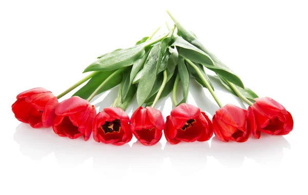 The spring tulips which have been beautifully laid, isolated on white — Stock Photo, Image