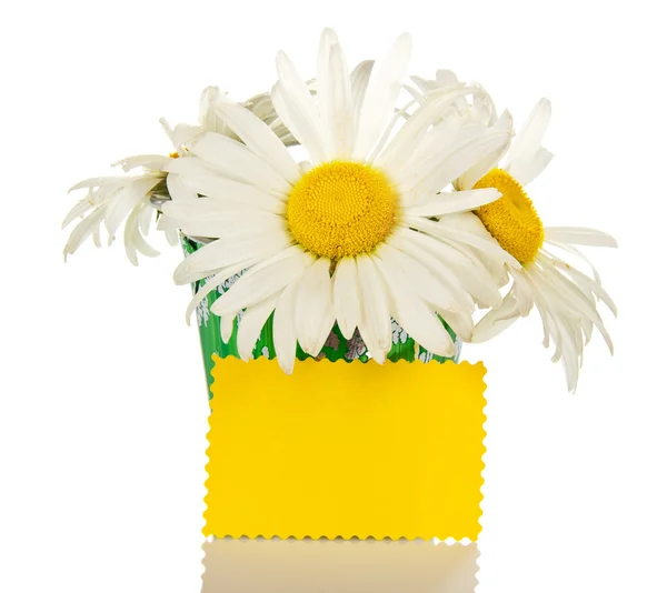 Bouquet de camomilles dans le seau des enfants et un carton jaune pour le message — Photo