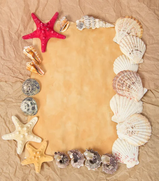 Vecchia carta, stelle marine e cockleshells — Foto Stock