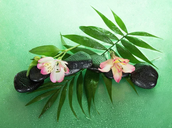 Wet stones and alstroemeria flower on a howea leaf, on a green background — Stock Photo, Image