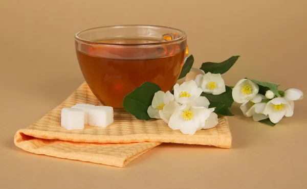 La taza del té el azúcar la rama del jazmín y la servilleta sobre el fondo beige — Foto de Stock