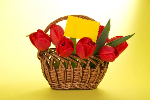 Bouquet de tulipes rouges dans un panier et une carte vide pour le texte, sur fond jaune — Photo