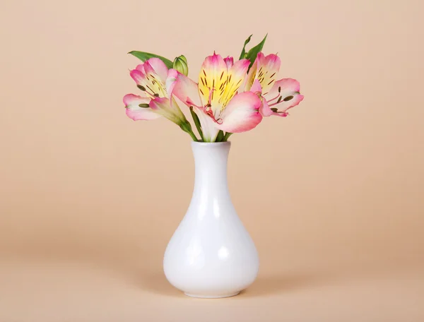 Buquê de alstroemeria em vaso em um fundo bege — Fotografia de Stock