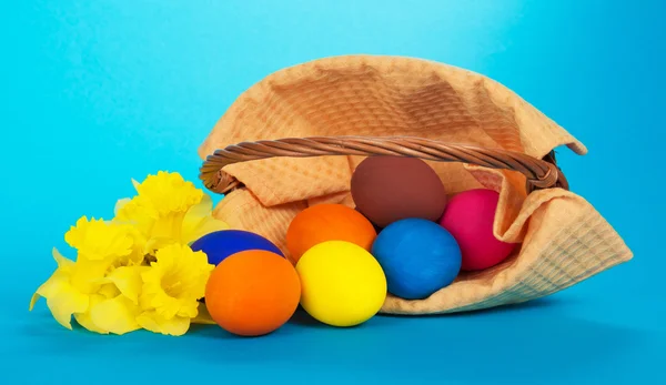 Les œufs de Pâques qui sont tombés d'un panier et les fleurs jaunes sur un fond bleu — Photo