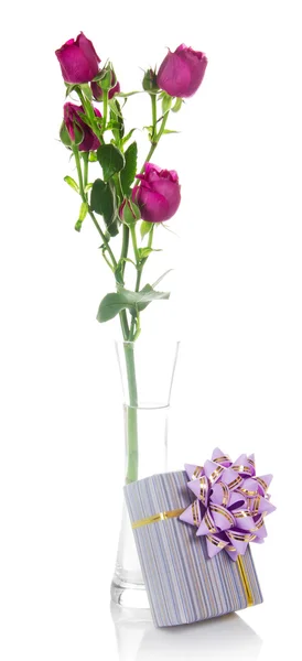 Gift box with a beautiful bow and rose branch in a vase, isolated on white — Stock Photo, Image