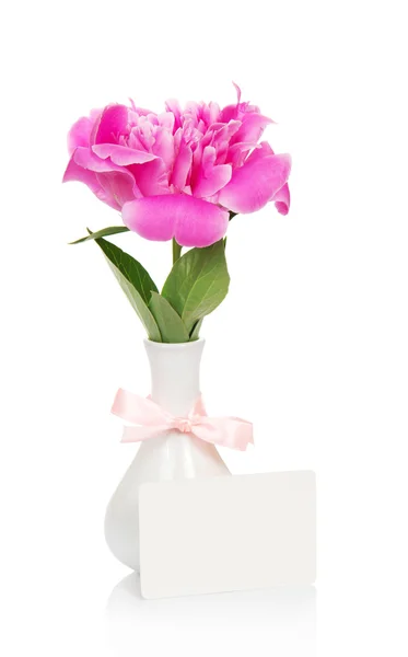 Rosa Pfingstrose in einer Vase mit einer Schleife verziert, und eine leere Karte für den Brief — Stockfoto