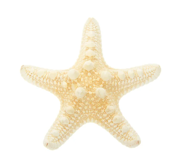 Gele starfish close-up geïsoleerd op wit — Stockfoto