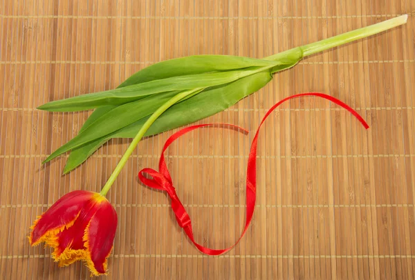 Яркий тюльпан и лента на бежевом фоне — стоковое фото
