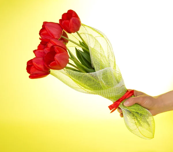 Die weibliche Hand hält einen Strauß Tulpen im Hauchfell, auf gelbem Hintergrund — Stockfoto