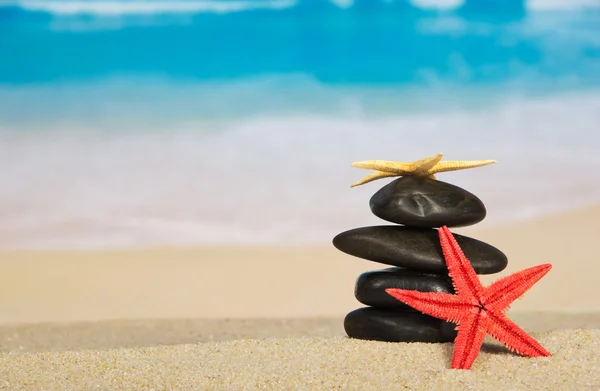 Starfishes y guijarros en la orilla del mar de arena —  Fotos de Stock