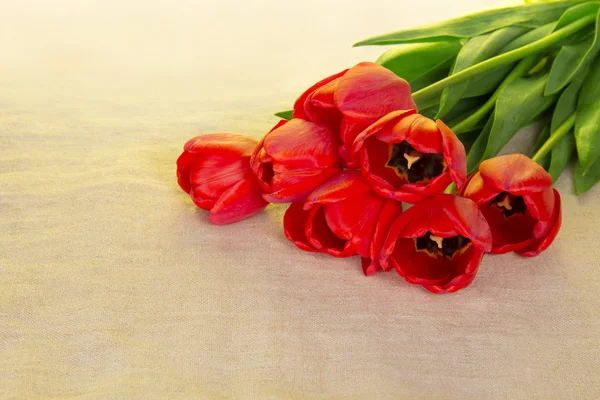 Bouquet of red tulips on a sackcloth — Stock Photo, Image