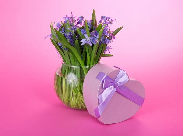 Caixa de presente com uma fita e vaso com as flores, no rosa — Fotografia de Stock