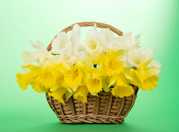 Bouquet of white and yellow narcissuses in a wattled basket, on a green background — Stock Photo, Image