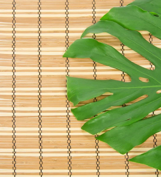 Foglia verde da vicino su un tovagliolo di bambù — Foto Stock