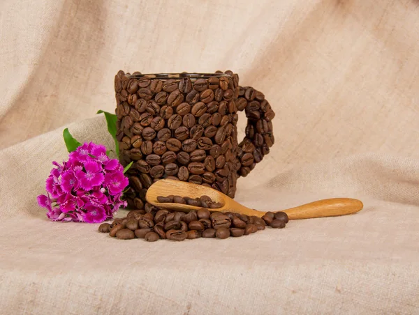 Cuillère en bois, tasse de grains de café et une branche d'œillet brillant, sur un sac — Photo