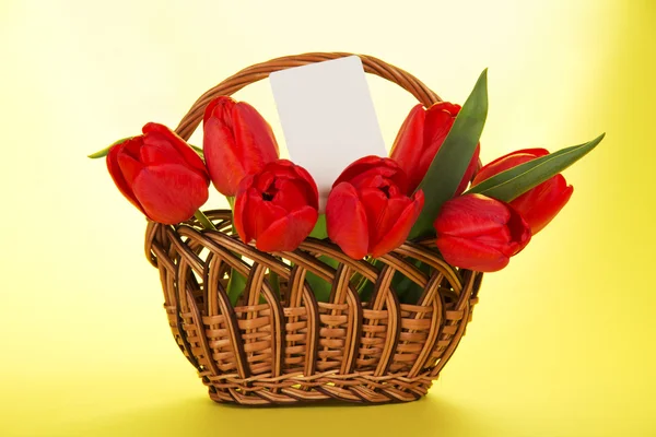 Bouquet of red tulips in a basket and a white card for the letter, on a yellow background — Stock Photo, Image