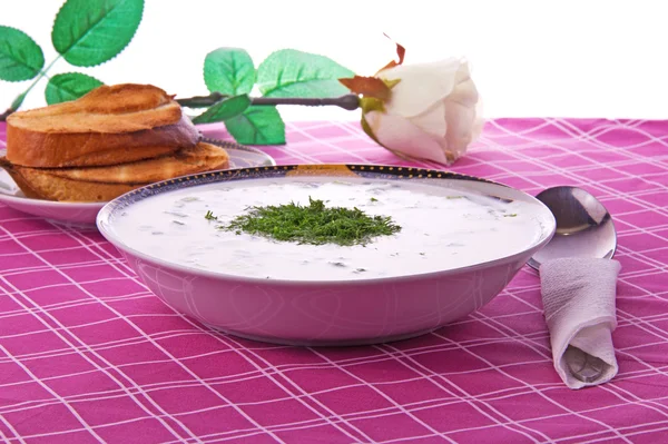 Minestra vegetale fredda con finocchio, stoffa, pani tostati, rosa — Foto Stock